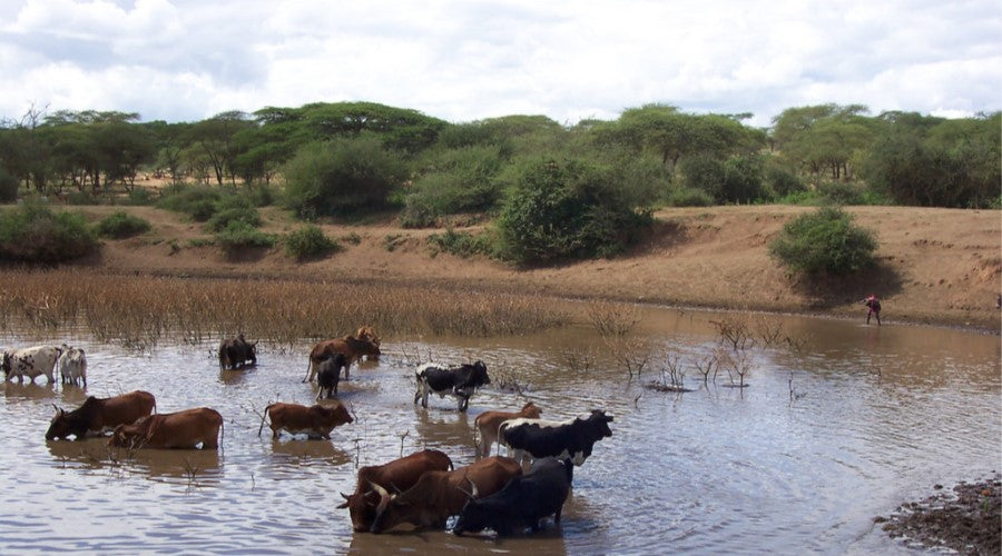 5 Deadly Water- Borne Diseases in India you should know about!